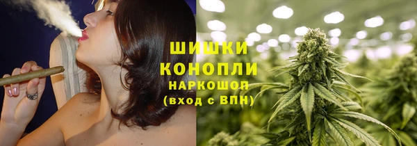 гидропоника Гусев
