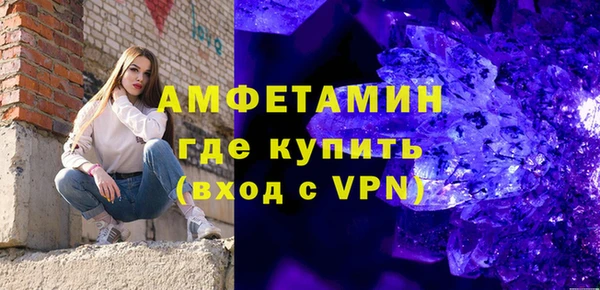 шишки Гусь-Хрустальный