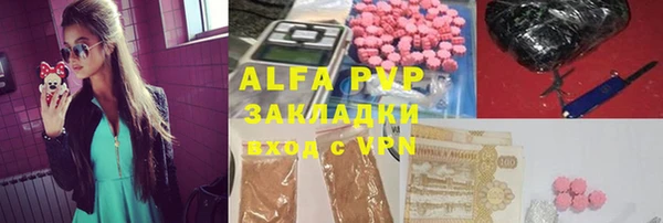 шишки Гусь-Хрустальный