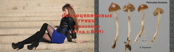 шишки Гусь-Хрустальный