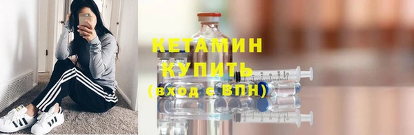 шишки Гусь-Хрустальный