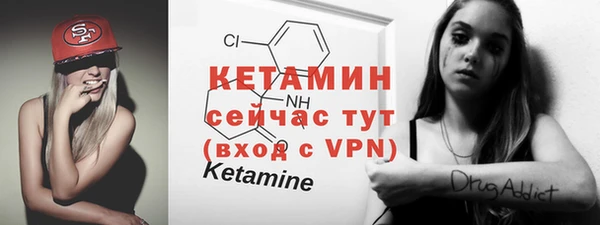 шишки Гусь-Хрустальный
