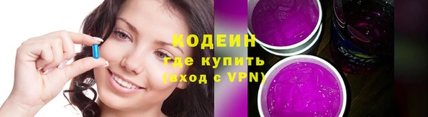 шишки Гусь-Хрустальный
