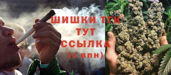 крисы Гусиноозёрск
