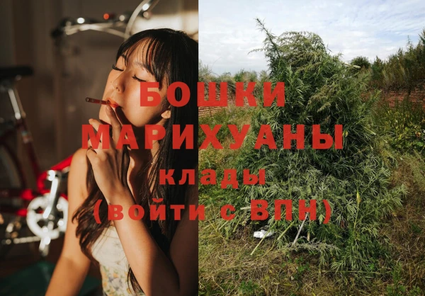 крисы Гусиноозёрск