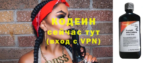 шишки Гусь-Хрустальный
