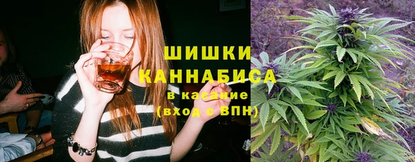 крисы Гусиноозёрск