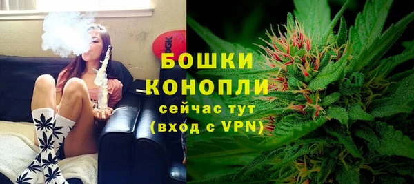 шишки Гусь-Хрустальный