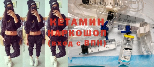 шишки Гусь-Хрустальный