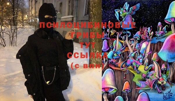гидропоника Гусев
