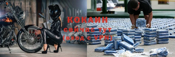 гидропоника Гусев