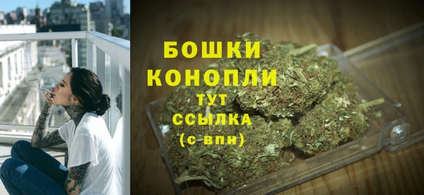 шишки Гусь-Хрустальный