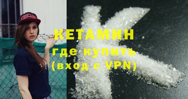 шишки Гусь-Хрустальный