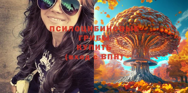 шишки Гусь-Хрустальный