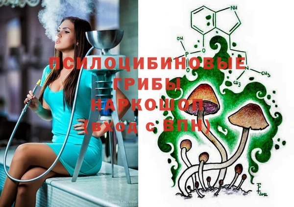 гидропоника Гусев