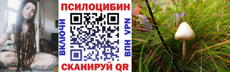Псилоцибиновые грибы Psilocybine cubensis  Оленегорск 